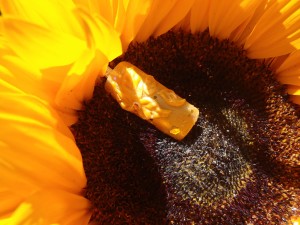beauty escape nagelsalon